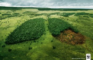 WWF-deforestation-chez-ginie-des-vertes-des-pas-mures-blogspot